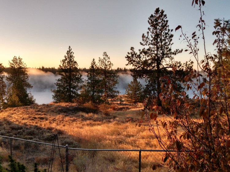 Morning Fog Over Lake